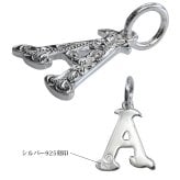 ハワイアンジュエリー シルバー イニシャル 誕生石入れ可 アルファベット シンプル シンプル シルバー925 ネックレス チェーン別売 ペンダントヘッド メール便 メンズ レディース 誕生日 プレゼント ハロウィン 【品番：SP2699-A】