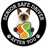 カーサイン 高齢者マーク SENIOR SAFE DRIVER スキフトイボブテイル マグネット 強力 直径13cm 肉球 日本製 車 ステッカー