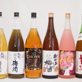 贅沢梅酒6本セット(おばあちゃんの梅酒 芳醇ブランデー仕立チョーヤ梅酒 ローズ梅酒(愛知) 青梅使用小正の梅酒(鹿児島) 蜂蜜梅酒(和歌山) 緑茶梅酒(和歌山県)) 1800ml×6本