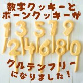 犬用ケーキ 誕生日 ちぃさい秋みぃ～つけた紅葉いちごショートケーキ レギュラーサイズ 無添加 食いつき 人気 おすすめ 手づくりごはん 小型犬 犬 小さいサイズ バースデー ケーキ フードケーキ ごはん プレゼント ギフト 贈り物 お誕生日 お迎え記念日 快気祝い ご贈答用 結婚祝い パーティー お茶会 犬友 猫友 お祝い お誕生日 ワンちゃん ペットフード ドッグフード