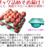 新物！青森県産　りんご　王林（おうりん）訳あり　ご家庭用　小玉　50-70玉　10kg　送料無料！