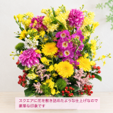 ご希望の色合いで選べる スクエアバスケットアレンジメント 高さ45cm 生花 フラワーアレンジメント 花ギフト フラワーギフト 誕生日 お祝い お見舞い 送別 季節行事 お供え お悔やみ 最短発送 送料無料【北海道・沖縄・九州・四国・中国・離島は配送不可】