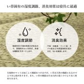 日本製 い草 い草マット  マット  ごろ寝マット  フリーマット  クッション性 和風柄   約70×180cm
