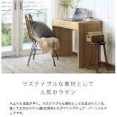 スチール脚 ラタン ダイニングチェア デスクチェア パーソナルチェア チェア チェアー 椅子 イス いす ダイニングチェアー リビングチェア 籐 おしゃれ ナチュラル シンプル 北欧 韓国 新生活