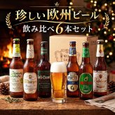 欧州ビール 飲み比べセット 6本 330ml×6本 ヨーロッパビール 海外ビール 輸入ビール 詰め合わせ アソート ギフト プレゼント お歳暮 内祝い 誕生日 父の日 クリスマス お祝い 贈り物 専用ケース入り のし メッセージカード ラーデベルガー ビットブルガー DAMM 送料無料