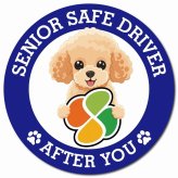 カーサイン 高齢者マーク SENIOR SAFE DRIVER トイプードル マグネット 強力 直径13cm 肉球 日本製 車 ステッカー