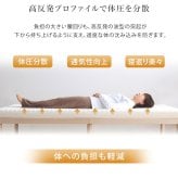 敷き布団 高反発プロファイルウレタンマットレス【Beleza10-ベレーザ・テン-】(クイーン) 洗えるカバー マットレストッパー 敷布団 厚さ10cm 高反発ウレタン 体分散性 硬め 省スペース 腰痛対策 アウトドア 敷きふとん しき布団 しきふとん