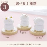 【 送料無料 】【 名入れ ペットちゃんの骨壺 】 名前入り ペット 骨壷 おしゃれ ミニ 可愛い 名入り ミニ骨壷 人気 陶器 動物 納骨 分骨 虹の橋 猫 犬 鳥 うさぎ メモリアルグッズ 遺骨 遺毛 遺品 入れ物 置物 ケース 仏壇