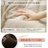 こたつ布団 正方形 無地 フランネル リバーシブル 掛け単品 『17フランIT 抗菌防臭』 約170×170cm（厚掛タイプ）