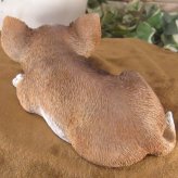 犬　置物 リアル　ウトウト・ねむねむ　チワワ　いぬ　動物オブジェ　ガーデン　オーナメント　店舗　カウンター　装飾　オブジェ　インテリア　玄関先　庭　犬好きさん人気ギフト　動物人気ギフト　クリスマスプレゼント　お誕生日祝い　母の日人気　父の日人気　敬老の日人気