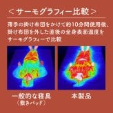極暖 ふんわり包む ボックスシーツ 100×200cm シングルサイズ 冬 あったか 暖かい 厚さ30cmまで対応 ベッドシーツ マットレスカバー 一体型 洗える 抗菌防臭 丸洗いOK 寒さ対策 アルファックス AP-629955 シングル 冷え対策