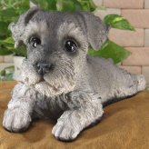 犬　置物 リアル　シュナウザー　伏せ　いぬ　動物オブジェ　ガーデン　オーナメント　店舗　カウンター　装飾　オブジェ　インテリア　玄関先　庭　犬好きさん人気ギフト　動物人気ギフト　クリスマスプレゼント　お誕生日祝い　母の日人気　父の日人気　敬老の日人気