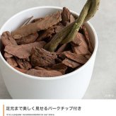 【高さ55cm】光触媒人工観葉植物 パキラ 幅35cm×奥行35cm×高さ55cm コンパクト 天然木 お部屋に気軽に飾れて空間を美しく彩るフェイクグリーン 本物の植物のようなリアルな質感とインテリアに馴染む風合いが魅力です