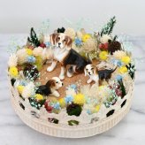 【最後の1点】お花に囲まれたワンコファミリー【Bloom Garden】リラックス　誕生日　お祝い　ギフト　犬好き　ドッグ【送料無料】