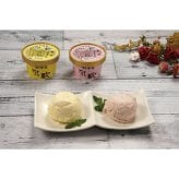 乳蔵 アイスと木苺プリン (120047) [お中元][お歳暮] ※送料無料(北海道・沖縄・離島への配送不可)
