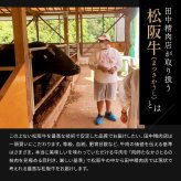 御中元 カタログギフト 肉 お肉 松阪牛 松坂牛 ギフト 田中精肉店 肉師が厳選 2万円 2万円コース 選べる プレゼント 和牛 結婚祝い グルメ お祝い 高級 国産和牛 国産 牛肉 誕生日 引き出物 内祝い 結婚内祝い お返し 快気祝い