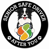 カーサイン 高齢者マーク SENIOR SAFE DRIVER ボーダーコリー マグネット 強力 直径13cm 肉球 日本製 車 ステッカー