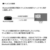 SHARP サウンドパートナー ネックスピーカー AN-SS2-B　ブラック　ネックスピーカー　テレビ用ワイヤレススピーカー　スマホ通話・音楽再生対応・防水IPX4　軽量88g　連続16時間　Bluetooth5.0　送信機同梱　外出先でも使える　快適に聞こえるワイヤレス設計