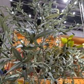 観葉植物 造花 オリーブ BROWN 全高約225cm 大型 実付き フェイクグリーン 高級 本物そっくり リアル おしゃれ インテリア 人工観葉植物 アーティフィシャルグリーン オフィス 店舗 ホテル カフェ 開店祝い 室内 リビング 玄関 風水 庭木 オリーブの木
