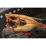 網走水産 北海道産 訳ありキンキ開き (APID-841) [お中元][お歳暮] ※送料無料(北海道・沖縄・離島への配送不可)