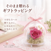 敬老の日 プレゼント プリザーブドフラワー ミニ ドーム バラ ジニア 小 おしゃれ かわいい ピンク イエロー 枯れない花贈答  プレゼント お祝い 誕生日 結婚記念日 母の日 父の日 敬老の日 プチギフト 卒業 退職 送別 入園 コンパクト インテリア お花とハンカチセット