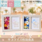 プリザーブドフラワー 【ジェンダーリビールフラワー02】　ジェンダーリビールとは、赤ちゃんの性別を 旦那さんや家族、友人にお披露目するイベントのことです。性別発表 花 フラワー 妊娠 サプライズ 男の子 女の子 帰省 妊娠報告 可愛い かわいい ホワイトデー イベント 性別 敬老の日