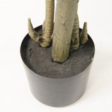 観葉植物 造花 ユッカ BROWN 全高約160cm 大型 フェイクグリーン 本物そっくり おしゃれ インテリア 人工観葉植物 アーティフィシャルグリーン オフィス 店舗 ホテル 開店祝い 室内 青年の木 エレファンティペス フェイク
