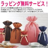 【名入れ可能】名入れ グラス サーモス THERMOS 真空断熱ステンレスタンブラー 420ml【母の日 父の日 ギフト ビール 焼酎 酒 食器 卒業祝い 誕生日プレゼント 女性 男性 30代 40代 60代 還暦祝い 退職祝い 転勤 お礼 古希 喜寿 傘寿 米寿祝い 赤 紫 新築祝い 内祝い 贈り物 】JDE-421C