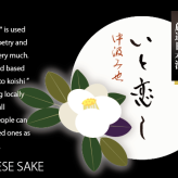 お正月・銀婚式 祝酒おすすめ No.002-12 天寶一 厳選日本酒「いと恋し」2本入桐箱ギフトボックス【満開椿・白椿】日本酒の豆辞典付き