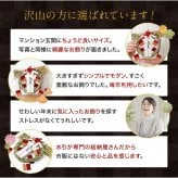 しめ縄 おしゃれ 注連縄 しめ飾り 正月飾り 玄関 モダン 国産 水引 リース 紅白迎春開運 フック付き 迎春 お正月飾り 干支 十二支 門松 .しめ縄.