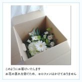 【ペットのお悔やみ】【 選べる5色】【Mサイズ】【クール便】【送料込み】フラワーアレンジメント おまかせ制作 最短翌日お届け  日時指定可 | ペット お供え 犬 猫 お悔やみ 虹の橋 ペット供養 お供え花 お悔やみ花 供花 四十九日 命日に贈るフラワーアレンジメント