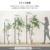 お手入れ簡単 フェイクグリーン エバーフレッシュ Mサイズ(160cm) 新築祝い 開店祝い