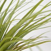 観葉植物 造花 ユッカ BROWN 全高約85cm 中型 フェイクグリーン 本物そっくり おしゃれ インテリア 人工観葉植物 アーティフィシャルグリーン オフィス 店舗 ホテル 開店祝い 室内 青年の木 エレファンティペス フェイク