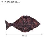 ダルトン フィッシーズ ハリバット 105 Y-0507 送料無料 クッション 魚 カレイ 海水魚 インテリア