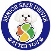 カーサイン 高齢者マーク SENIOR SAFE DRIVER ビションフリーゼ マグネット 強力 直径13cm 肉球 日本製 車 ステッカー