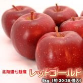 りんご 北海道産 蜜入 レッドゴールド リンゴ 5kg（約20-30個入）