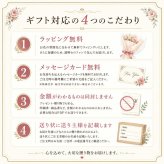 ガーデンシクラメン ミニシクラメン苗 寄せ植え 5ポット シクラメン、ガーデンシクラメン シクラメン 送料無料 赤 紫 ガーデン シクラメン ギフト 花 誕生日プレゼント 誕生日 女友達 宅配 長持ち プレゼント