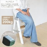 TEXAS　ラダーラック TEOR-43 ステップラダー ステップスツール ステップチェアー 脚立 踏み台 足台 DIY おしゃれ 木製 はしご 折りたたみ フォールディング 収納 頑丈 便利 コンパクト 3段 おしゃれ