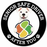 カーサイン 高齢者マーク SENIOR SAFE DRIVER ドゴアルヘンティーノ マグネット 強力 直径13cm 肉球 日本製 車 ステッカー