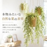 CT触媒 フェイクグリーン ハンギング 通販 キシマ アーティフィシャルグリーン 観葉植物 フェイク グリーン 吊り下げ バスケット 壁掛け 人工観葉植物 消臭 ハンギングバスケット 小さめ 小型 おしゃれ リビング リアル kishima 造花 インテリア