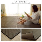 夏ラグ 夏用カーペット ラグ い草 国産 純国産 日本製 シンプル 無地風 抗菌防臭 自然素材 ウレタン 約191×250cm