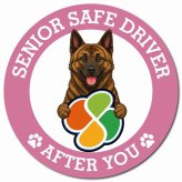 カーサイン 高齢者マーク SENIOR SAFE DRIVER 琉球犬 マグネット 強力 直径13cm 肉球 日本製 車 ステッカー