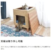 ラタン ペットハウススツール ペットと一緒にくつろぐ クッション付き 椅子 テーブル ネコ イヌ 猫 室内用 屋内用 小型犬 ペット用品 グッズ キャットタワー 省スペース 犬用 猫用 かわいい おしゃれ リゾート ホテル ケージ 最大2 天然木 イス