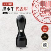 法人印鑑 黒水牛 代表印 天丸 単品 代表者印 実印 会社実印 18.0mm 16.5mm 印鑑 はんこ 会社印 法人印 会社設立 即日発送 ラッピング付き 永年保証 ギフト 開業祝い
