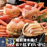 【訳あり】越前港水揚げ 茹で紅ズワイガニ姿 3杯～7杯（1杯あたり200～300g）美味しい贈物 敬老の日 お歳暮 ギフト