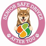 カーサイン 高齢者マーク SENIOR SAFE DRIVER 四国犬 ステッカー シール 直径13cm 肉球 日本製 車