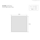 ラグ 下敷き 厚手 防音ふかふか下敷専用ラグ 〔ふかピタ〕 170x170cm (2畳用) 正方形 二畳 ふっくら カーペット ラグマット 洗える 床暖房 ホットカーペット対応 リビング 滑り止め スミノエ