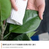 【高さ160cm】光触媒人工観葉植物 パキラ 曲がり 幅72cm×奥行50cm×高さ160cm オフィス 天然木 組立品 お部屋に気軽に飾れて空間を美しく彩るフェイクグリーン 本物の植物のようなリアルな質感とインテリアに馴染む風合いが魅力です