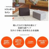 \クーポン配布中/ トレーニング用品 エクササイズ グッズ ミズノ mizuno トランポリン ラパン TRAMPOLINE lapin 体幹 フィットネス 室内用 宅トレ 全身運動 日本製 グレー ブラウン カバー洗濯可 折りたたみ クッション です