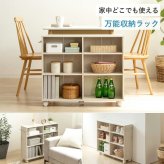 収納家具 ラック 押入れ収納 奥行75cm 選べる幅3サイズ (19/25/38cm) iw-29 クローゼット収納 リビング収納 すき間収納 サニタリー収納